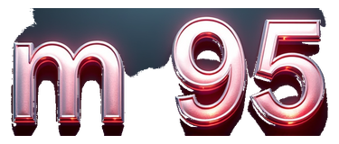 n 95 logo